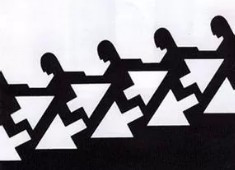 蘑菇视频：网上说法那么多，最关键的一点却没人讲透