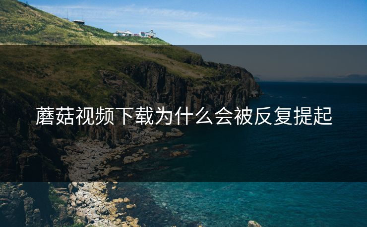 蘑菇视频下载为什么会被反复提起